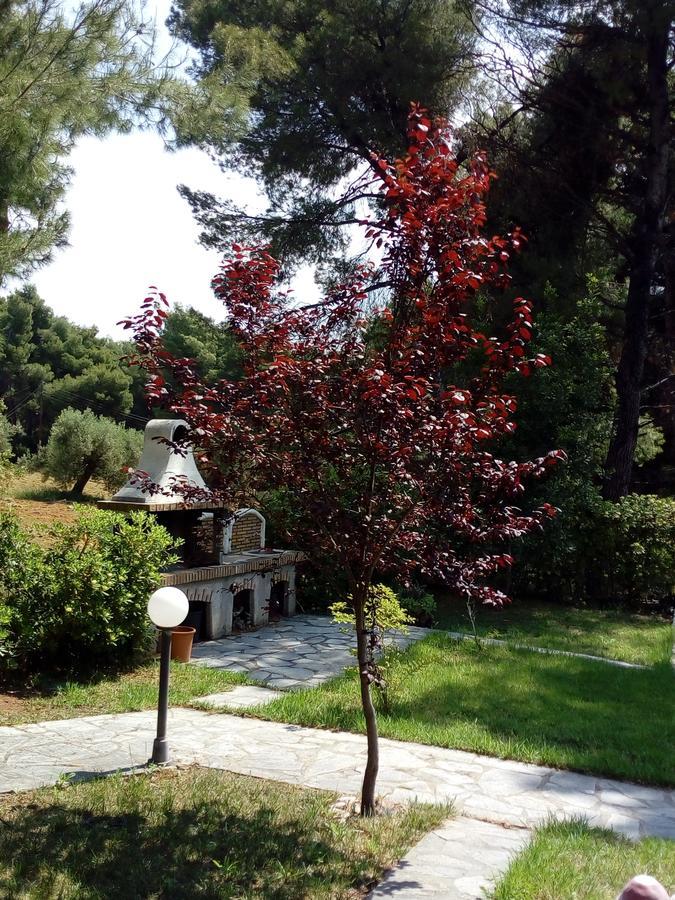 Apartamento Sithonia Alekos Luxury Experience Metamorfosi  Exterior foto